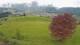 Abtenau 22.03.2025 17:17
