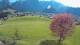 Abtenau 29.04.2025 17:17