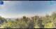 Gorga 05.07.2025 17:18