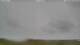 Carinish 30.06.2025 17:18