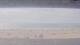 Henne Strand 11.07.2025 17:15