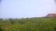 Zuydcoote 09.06.2025 17:19