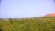 Zuydcoote 14.06.2025 17:19