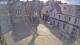 Lerwick (Shetland) 01.07.2025 17:19