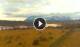 Nationalpark Torres del Paine 14.06.2025 17:20