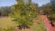 Bad Zwischenahn 01.07.2025 17:20