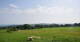 Grebenhain 14.06.2025 17:20
