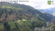 Hopfgarten im Defereggental 09.07.2025 17:11