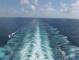 Costa Diadema 17.03.2025 17:21