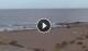 El Medano (Tenerife) 30.04.2025 17:21