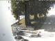 Neukirchen b.Hl.Blut 14.06.2025 17:21