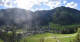 Donnersbachwald 09.05.2025 17:22