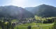 Donnersbachwald 14.06.2025 17:21
