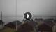 Hamnøy 08.05.2025 17:22