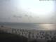 Utersum (Föhr) 08.06.2025 17:23