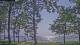 Houghton Lake, Michigan 02.07.2025 17:48