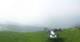 Rogno 09.06.2025 17:25