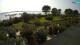 Fazana 08.06.2025 17:26