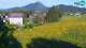 Medvode 30.04.2025 17:26