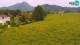 Medvode 12.05.2025 17:26