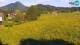 Medvode 10.05.2025 17:26