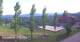 Sulztal 29.04.2025 17:27
