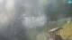 Postojna 12.06.2025 17:26