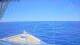 Norwegian Gem 19.03.2025 18:27