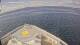 Norwegian Joy 29.04.2025 17:32