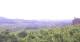 Valdobbiadene 14.06.2025 17:27