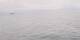 AIDAbella 24.06.2025 17:49