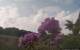 Montbliart 09.06.2025 17:28