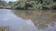 Les Landes-Genusson 11.06.2025 17:28