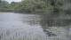 Les Landes-Genusson 29.04.2025 17:28