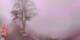 Lourdes 02.07.2025 17:28