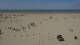 Dunkirk 08.07.2025 17:28