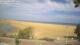 Maspalomas (Gran Canaria) 08.06.2025 17:28