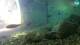 Brijuni 08.07.2025 17:28