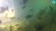Brijuni 08.07.2025 17:28