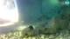 Brijuni 08.05.2025 17:29