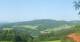Zierling 14.06.2025 17:29