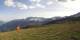 Aquila 29.04.2025 17:24