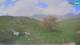 Kobarid 29.04.2025 17:30