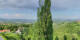 Kitzeck im Sausal 29.04.2025 17:31