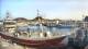 Vestmannaeyjar 14.06.2025 17:31