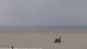 Nes (Ameland) 14.06.2025 17:31