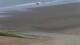 Wenduine 09.06.2025 17:31