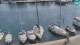 Vrboska (Hvar) 20.06.2025 17:31