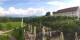 Herrnchiemsee 10.07.2025 17:30