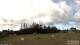 Burnt Pine (Norfolk Island) 02.02.2025 17:33